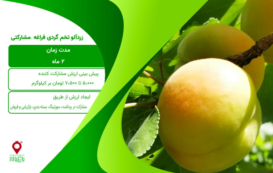 زردآلو تخم گردی - مشارکتی