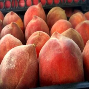 خرید آنلاین هلو ماهان کرمان