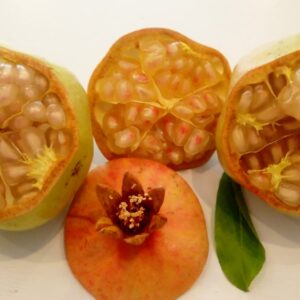 انار شیرین آب دندان نوبر کرمان