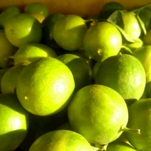 لیموترش رودان