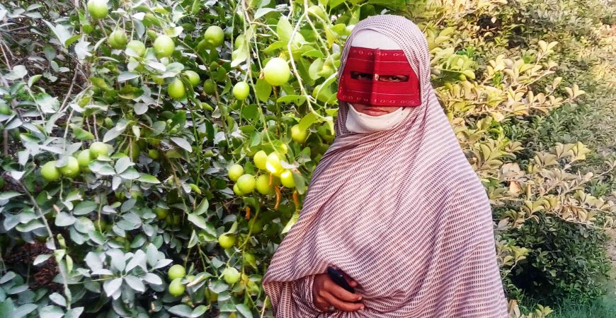 باغ لیموترش رودان