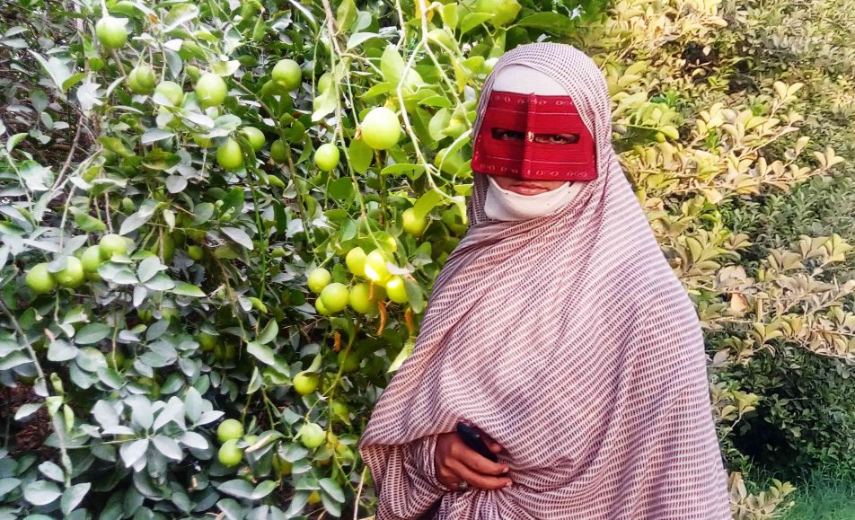 باغ لیموترش رودان