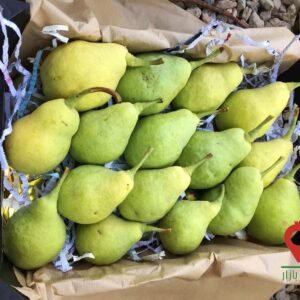 گلابی شاه میوه دماوند