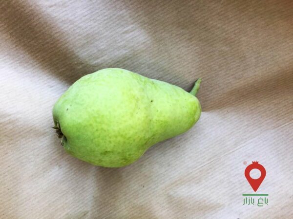 گلابی شاه میوه دماوند گلابی شاه میوه دماوند