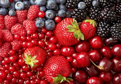 آنتوسیانین ها