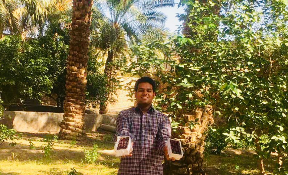 باغ بازار خرمای مضافتی بم