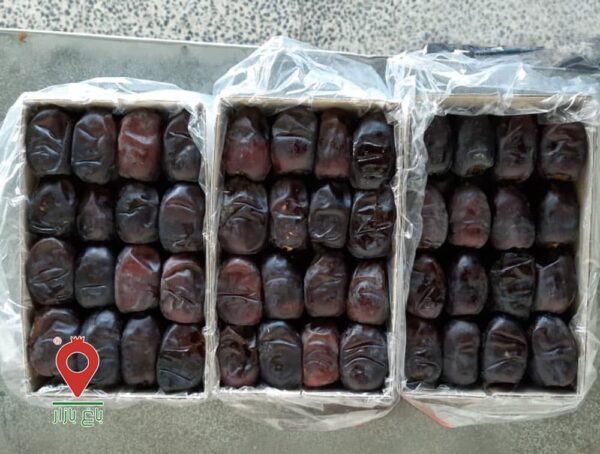 خرمای مضافتی بم