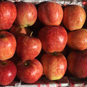 سیب قرمز دماوند