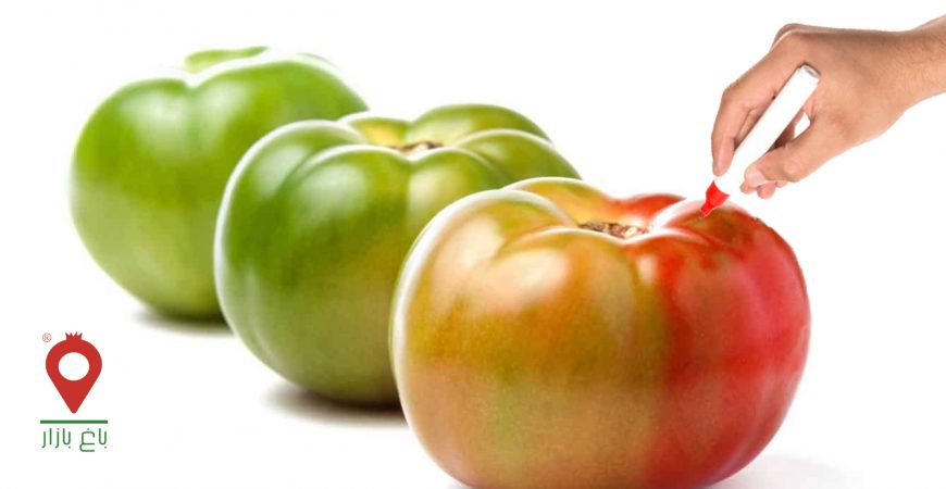 تقلب در مواد غذایی