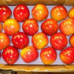 واکس میوه ها