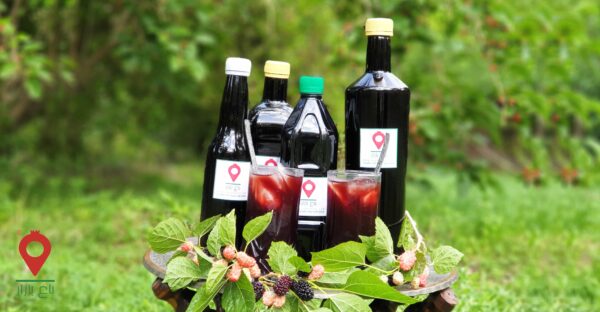 شربت توت سیاه شربت توت سیاه