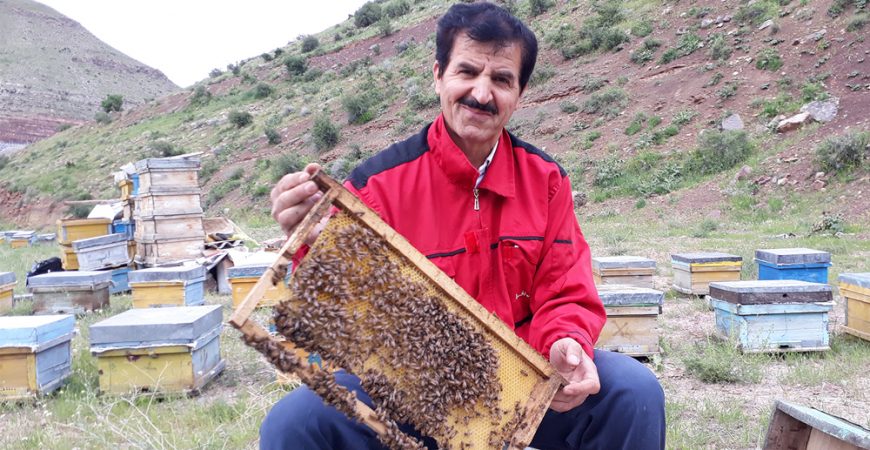 عسل کوهی خام