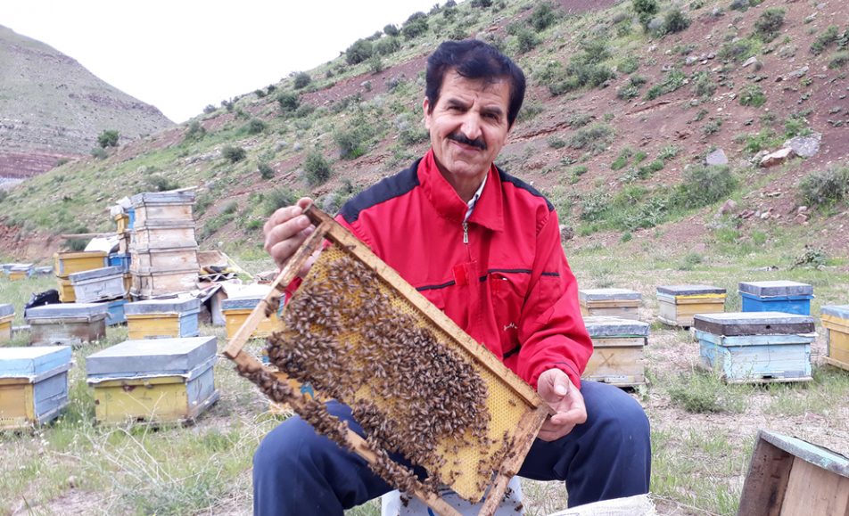 عسل کوهی خام