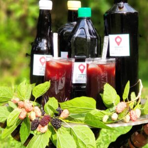 باغ بازارشربت توت سیاه