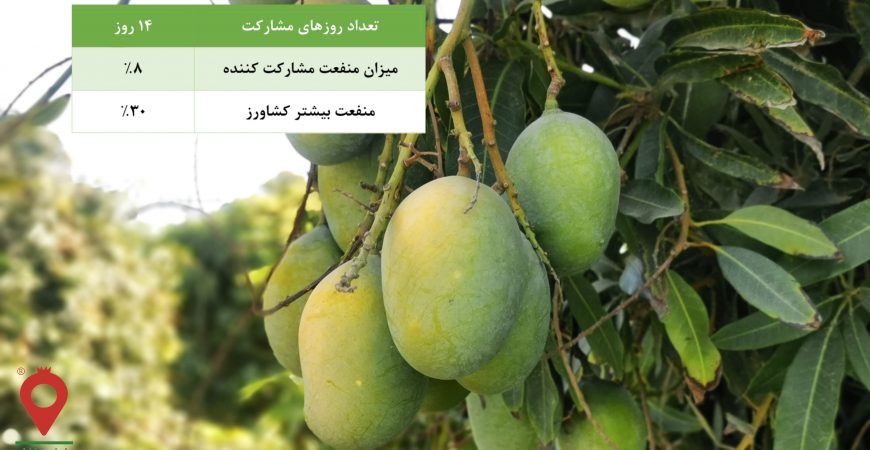 انبه صدابهار