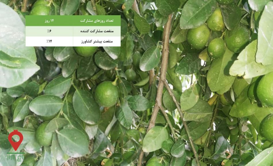 باغ بازار مشارکتی