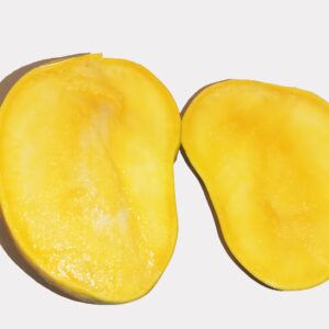 انبه صدابهار