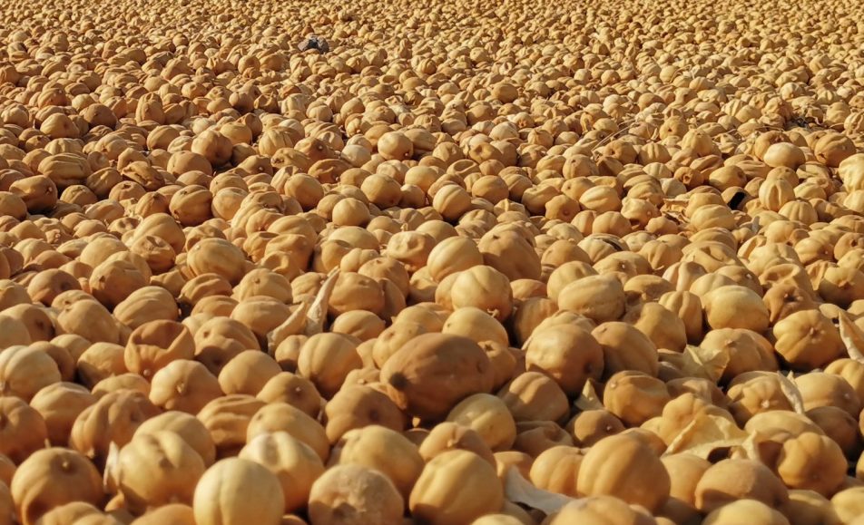 لیموعمانی منوجان