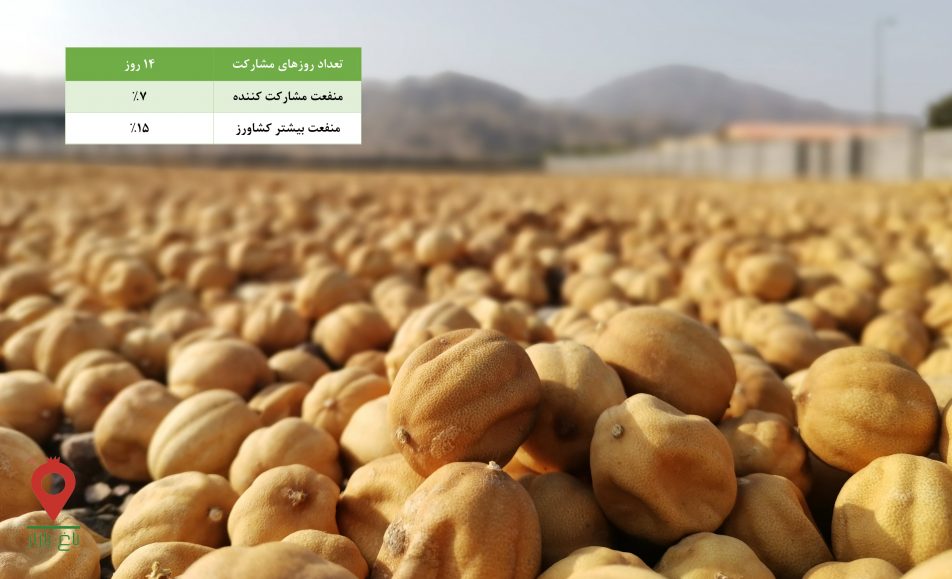 لیمو عمانی منوجان