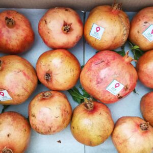 انار شیرین دانه قرمز