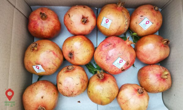 انار شیرین دانه قرمز انار شیرین دانه قرمز