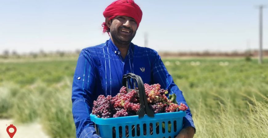 سرمایهگذاری در کشاورزی