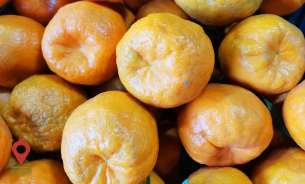 نارنگی محلی جیرفت نارنگی محلی جیرفت