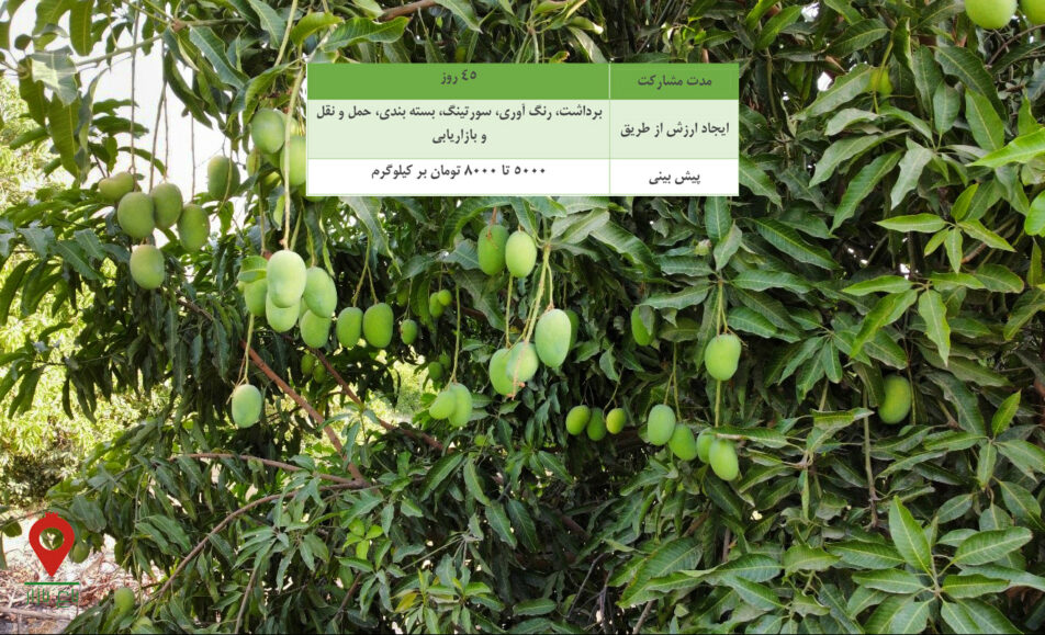 کشاورزی مشارکتی