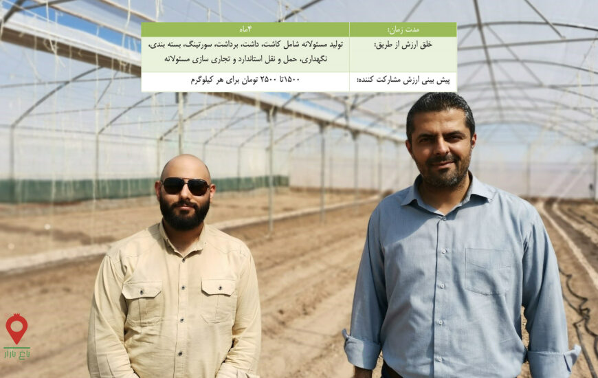 خیار گلخانه ای