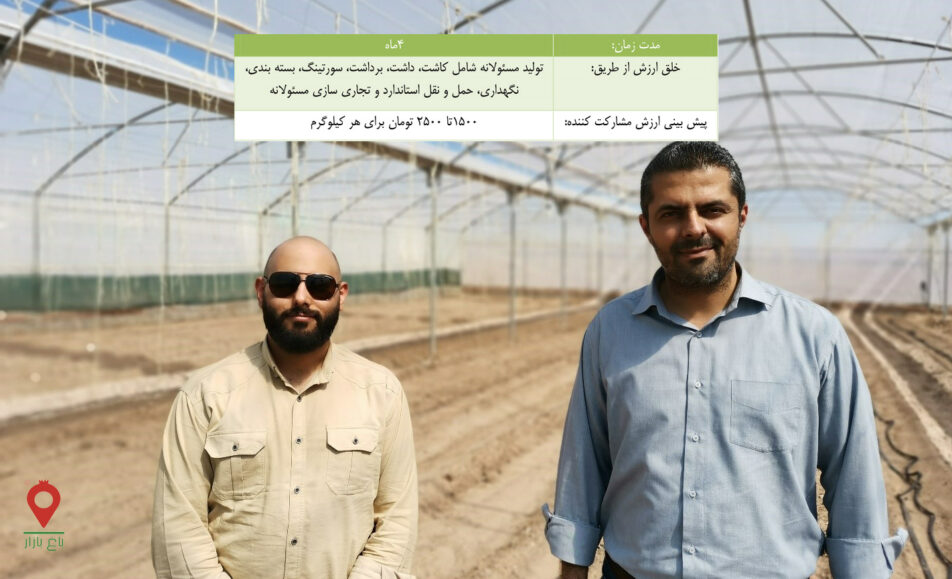 خیار گلخانه ای