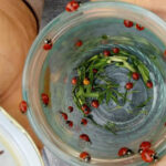 کنترل بیولوژیک