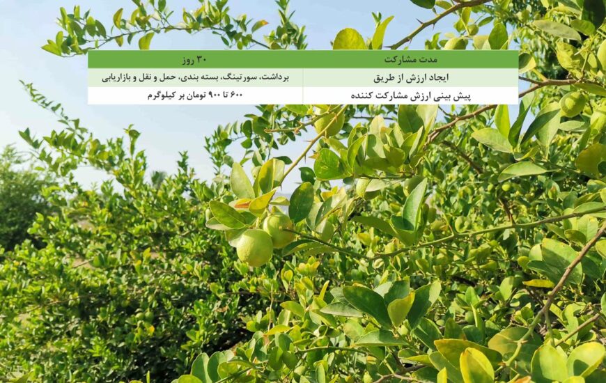 باغ بازار لیمو ترش منوجان