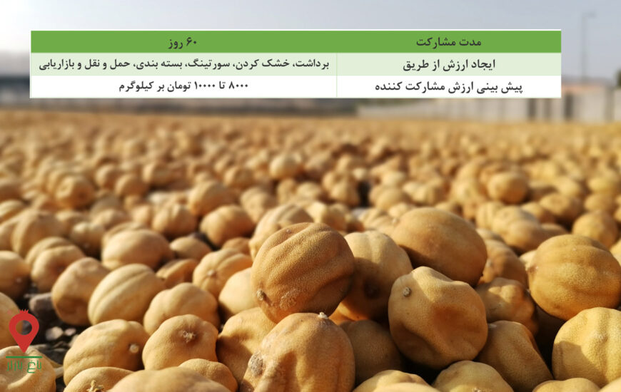 باغ بازار لیمو خشک منوجان