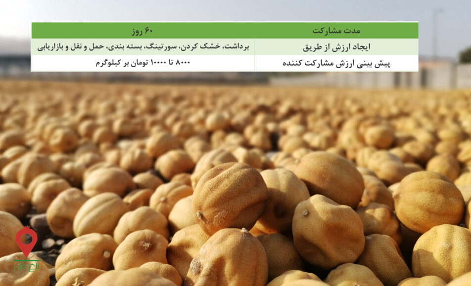 باغ بازار لیمو خشک منوجان