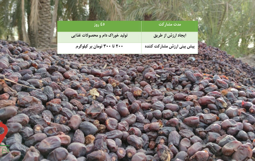 خرما ضایعاتی