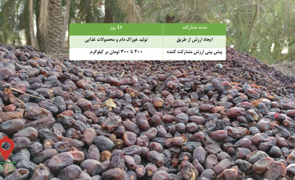 خرما ضایعاتی