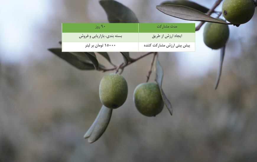 روغن زیتون