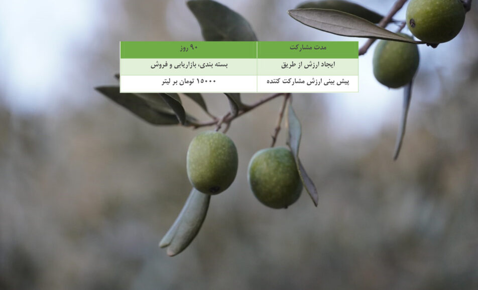 روغن زیتون
