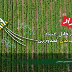 باغ بازار