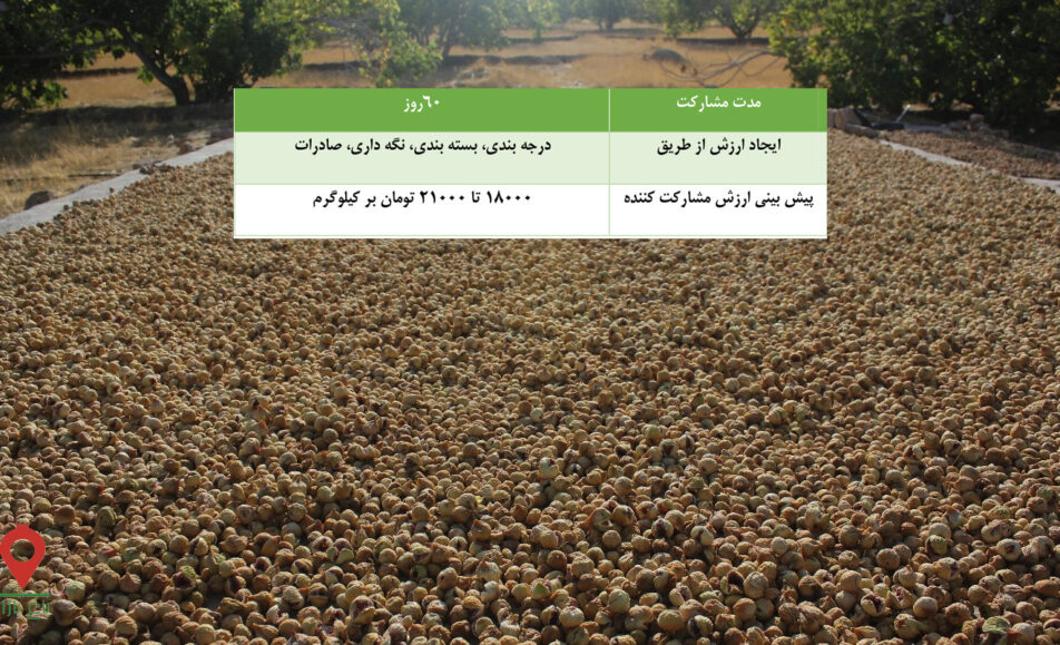 انجیر استهبان