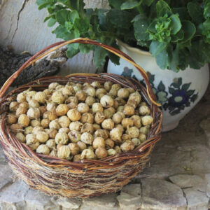 انجیر استهبان