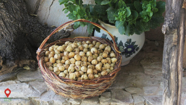 انجیر استهبان انجیر استهبان