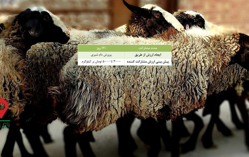 باغ بازار مشارکتی شیر میش