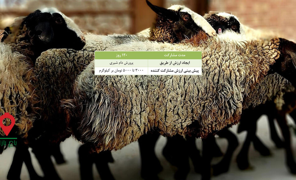 باغ بازار مشارکتی شیر میش