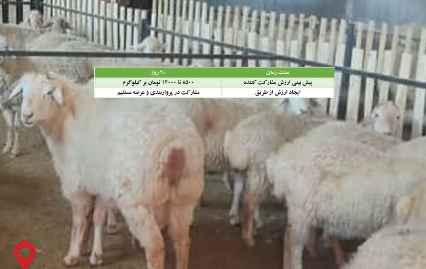 باغ بازار مشارکتی بره مغانی