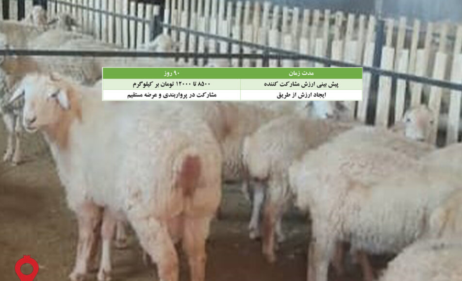 باغ بازار مشارکتی بره مغانی