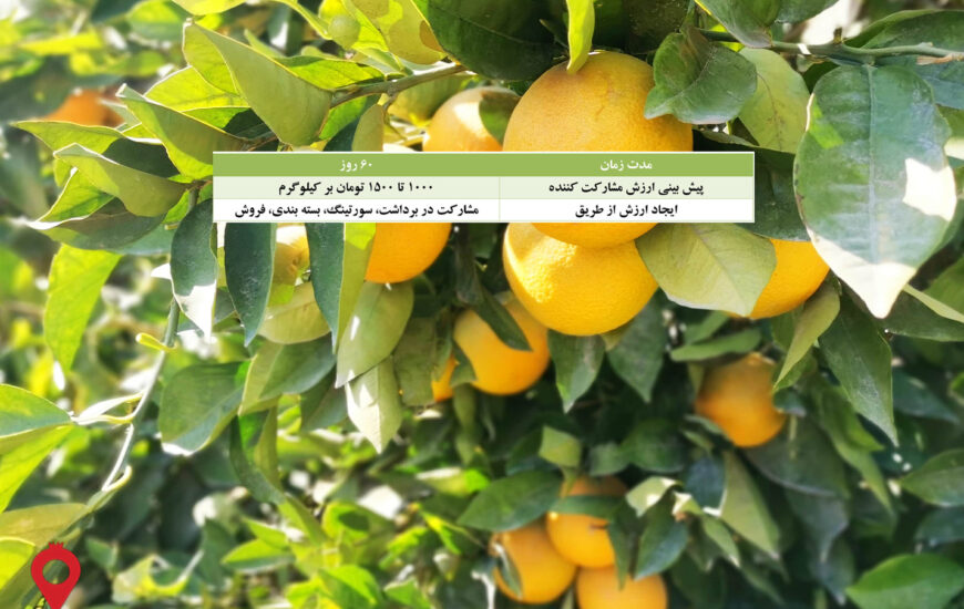 باغ بازار مشارکتی والنسیا