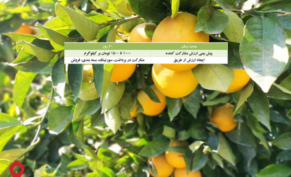 باغ بازار مشارکتی والنسیا