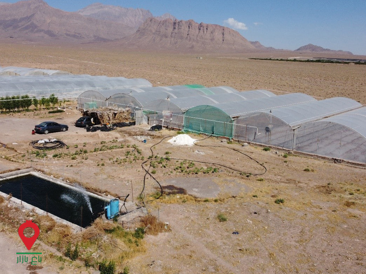 باغ بازار مشارکتی سبزی کرمان