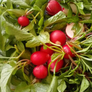 باغ بازار مشارکتی سبزی کرمان